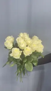 Букет из 15 белых роз 60 см