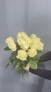 Букет из 15 белых роз 60 см