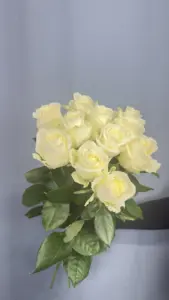 11 белых роз 60 см