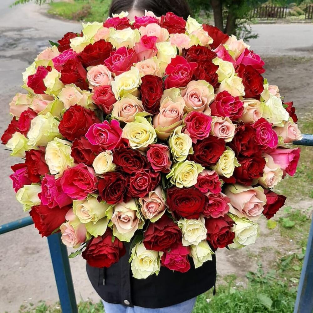 101 роза микс кения