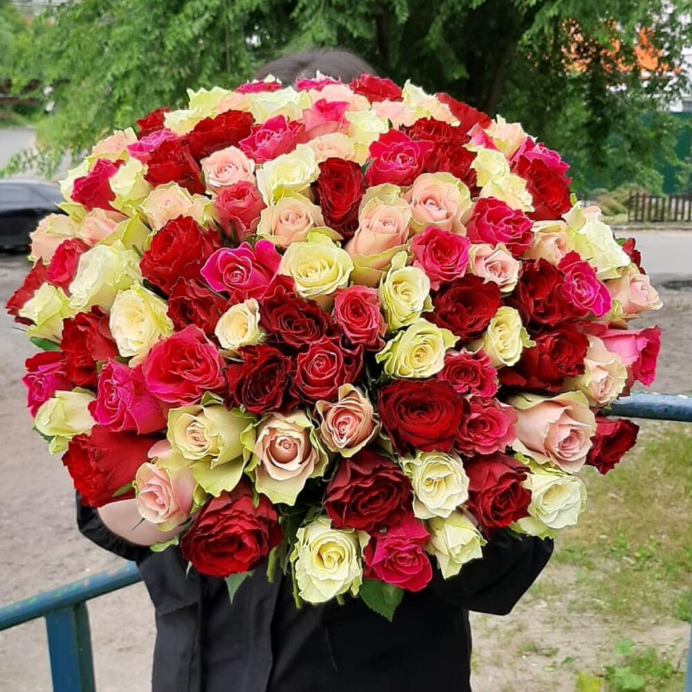 101 роза микс кения