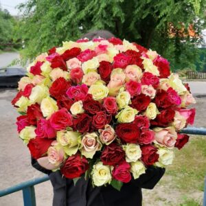 101 роза микс кения