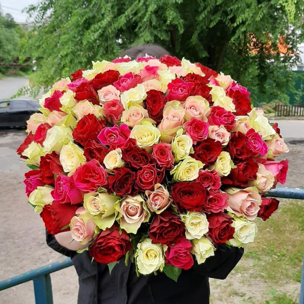 101 роза микс кения