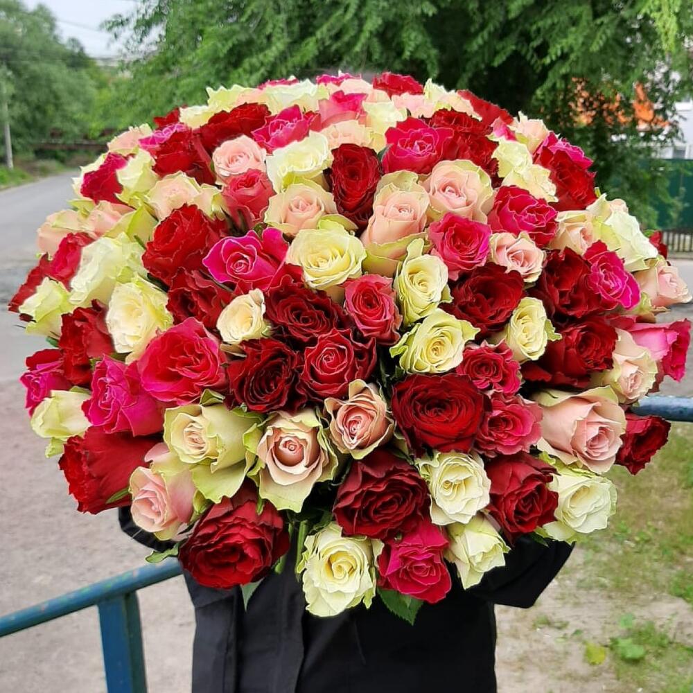 101 роза микс кения