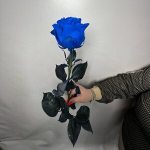 Синяя роза 70 см
