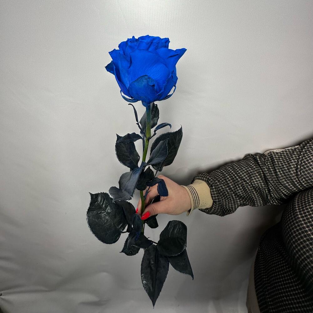 Синяя роза 70 см