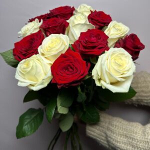 15 красных и белых роз