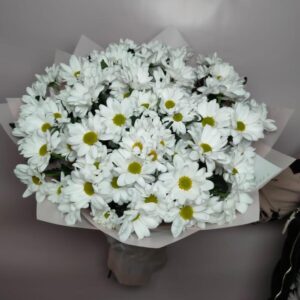 Букет из 9 веток белой пушистой хризантемы в упаковке