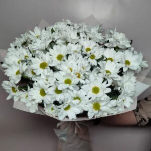 Букет из 9 веток белой пушистой хризантемы в упаковке