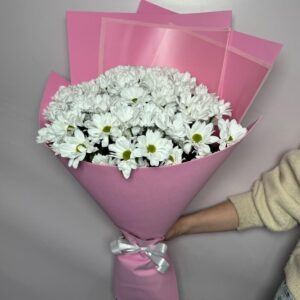 Букет из 7 ромашковидных хризантем в стильной упаковке