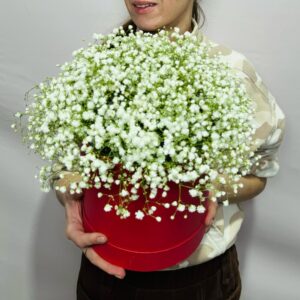 Шляпная коробочка с воздушной гипсофилой