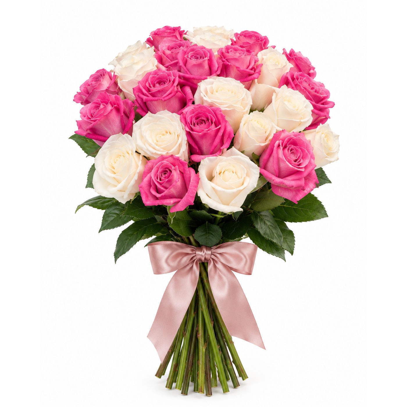 Белые и розовые розы 50 см, 25 шт.