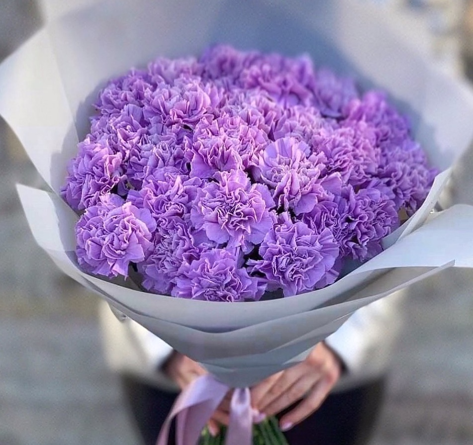 Монобукет из гвоздики, 35 шт.